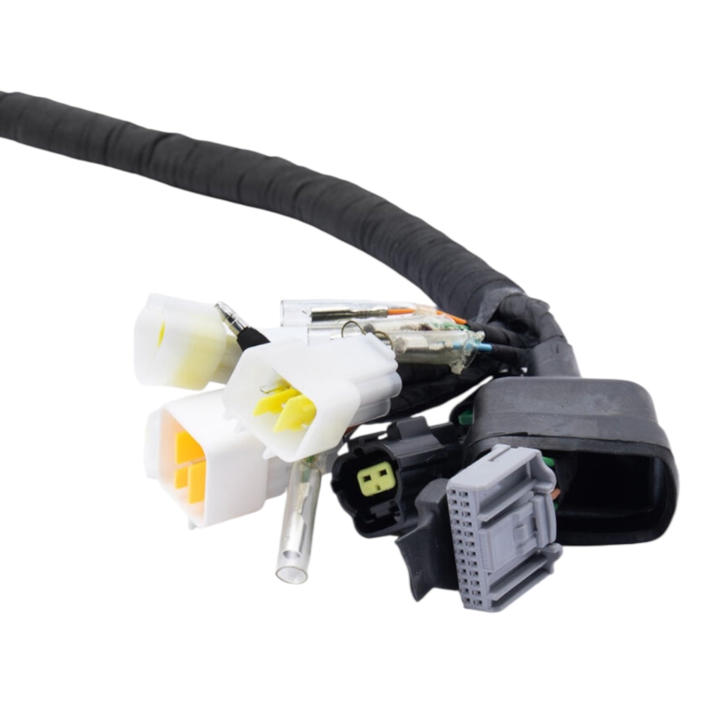 Full-E Charged Wiring Loom for Ultra Bee