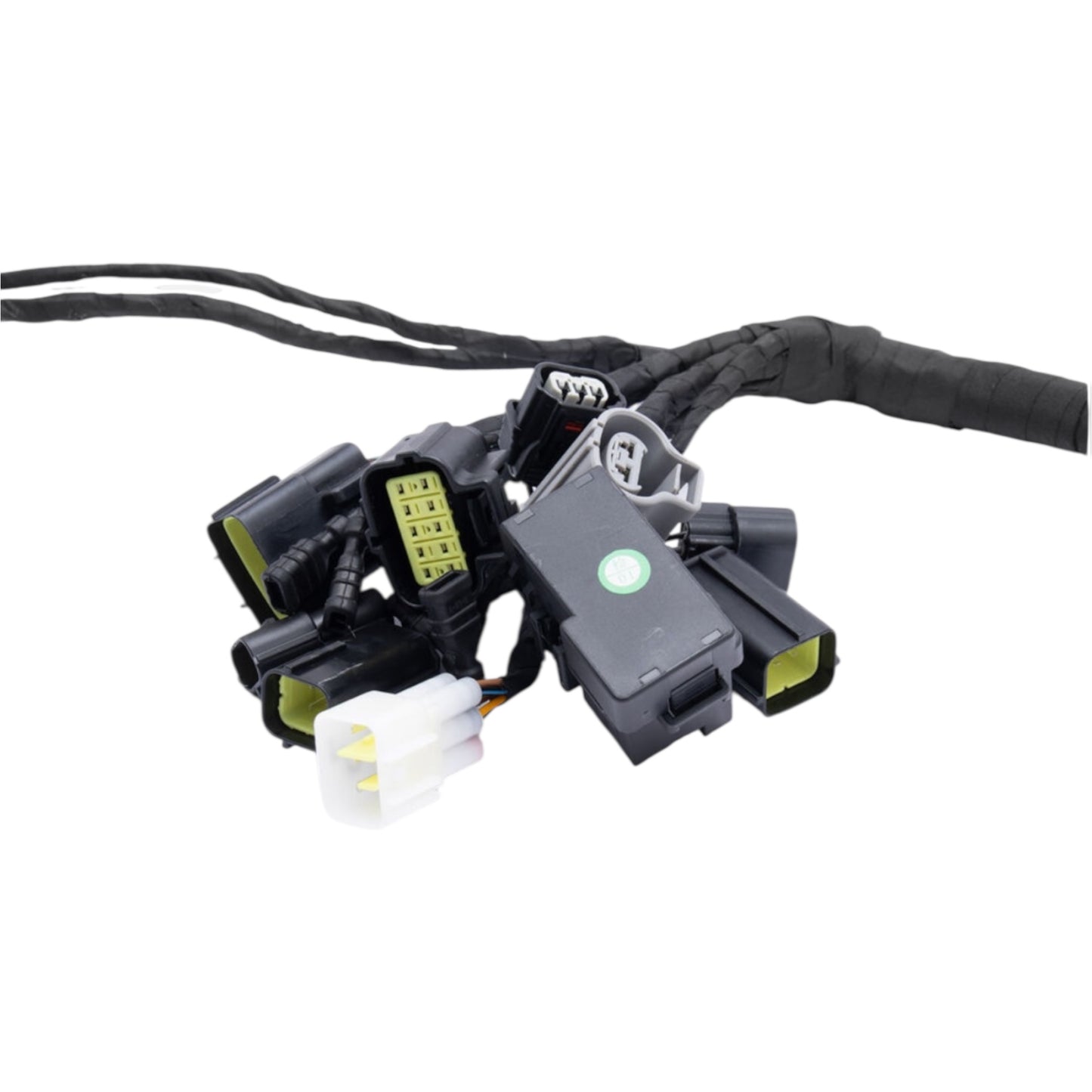 Full-E Charged Wiring Loom for Ultra Bee