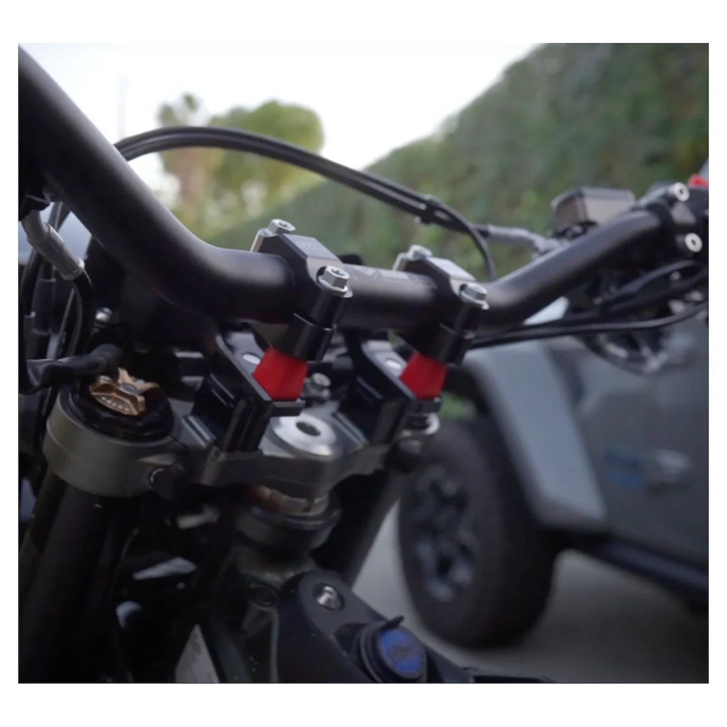 Warp 9 Ultra Bee Flex Bar Mounts