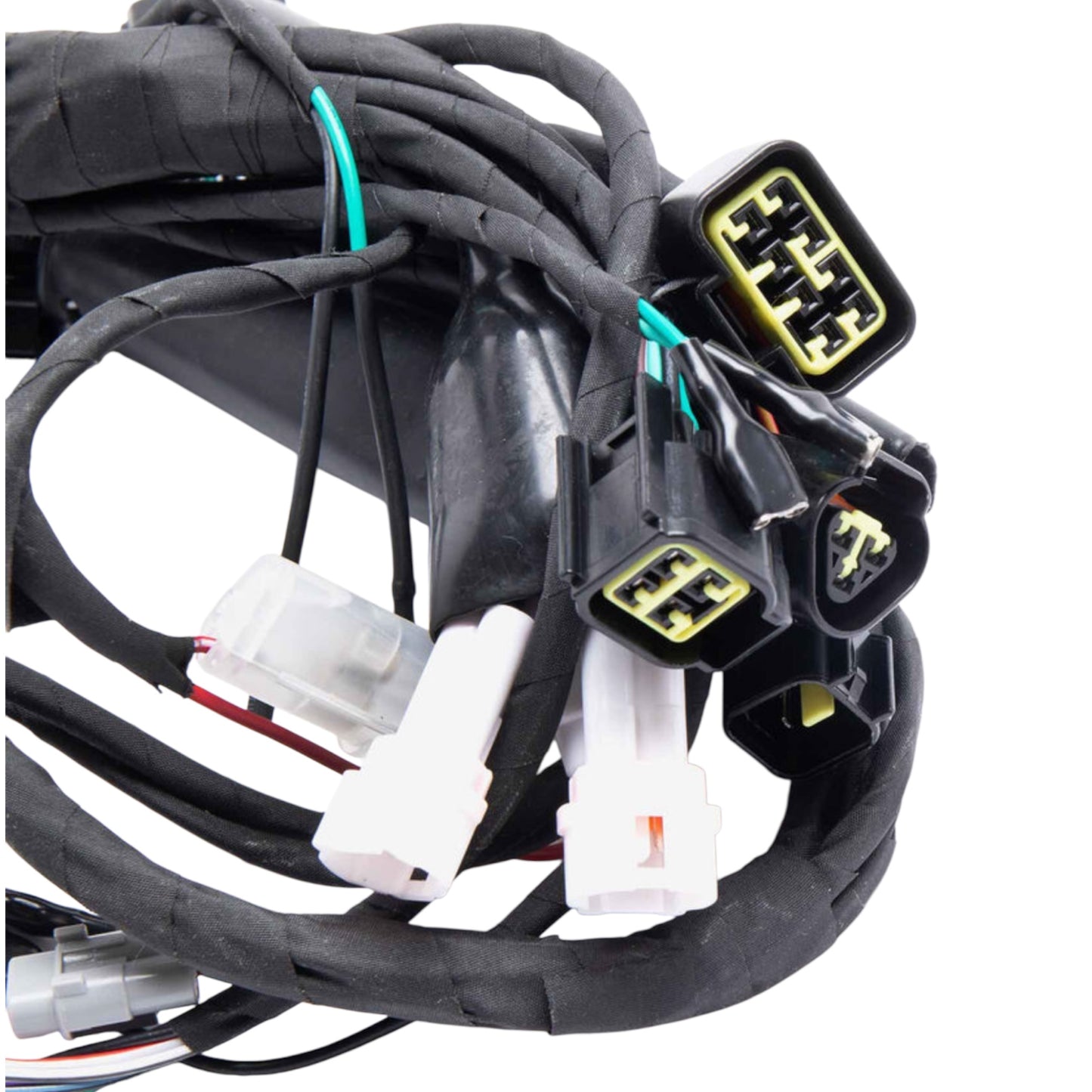 Full-E Charged Wiring Loom for Light bee