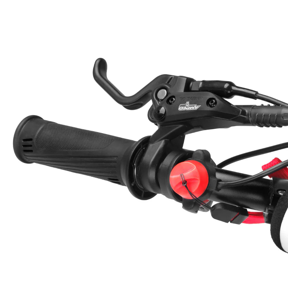 Amped A16 Pro 400w Electric Balance Bike - Black