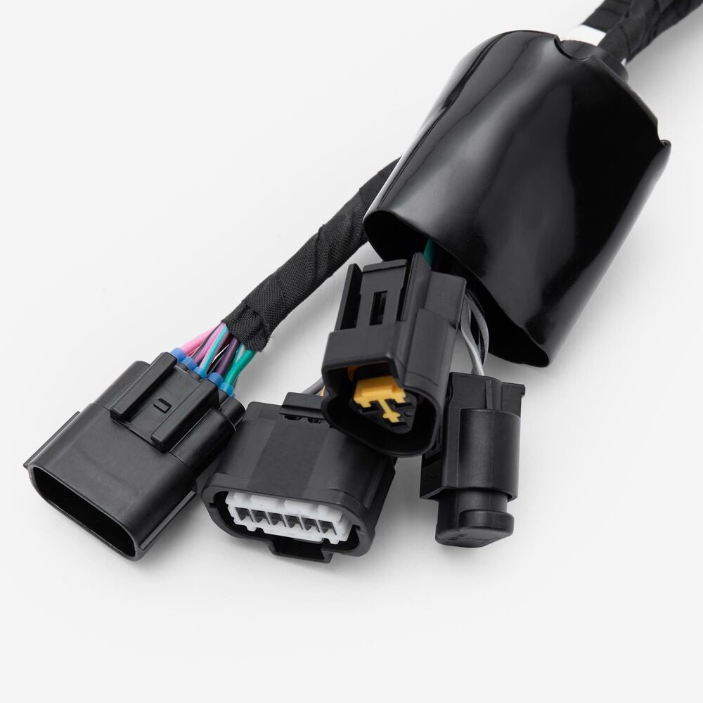 Komodo Wiring Loom