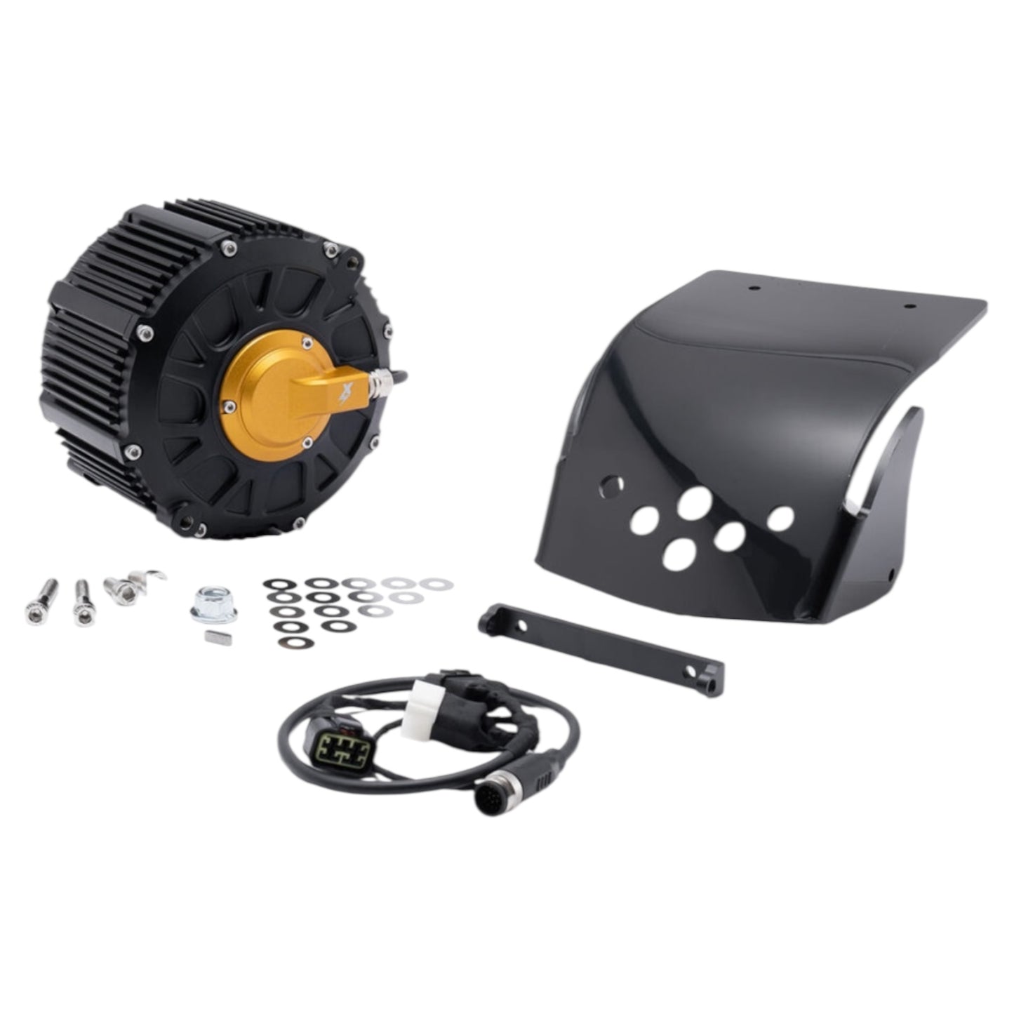 EBMX XLB-60 Race Motor for Light Bee