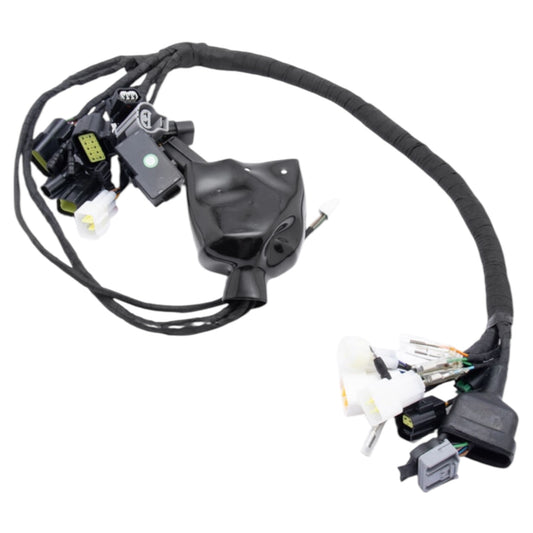 Full-E Charged Wiring Loom for Ultra Bee