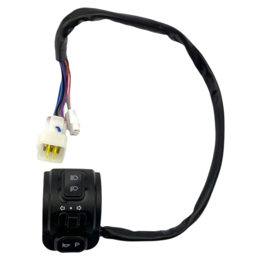E RIDE PRO L1E CONTROL SWITCH