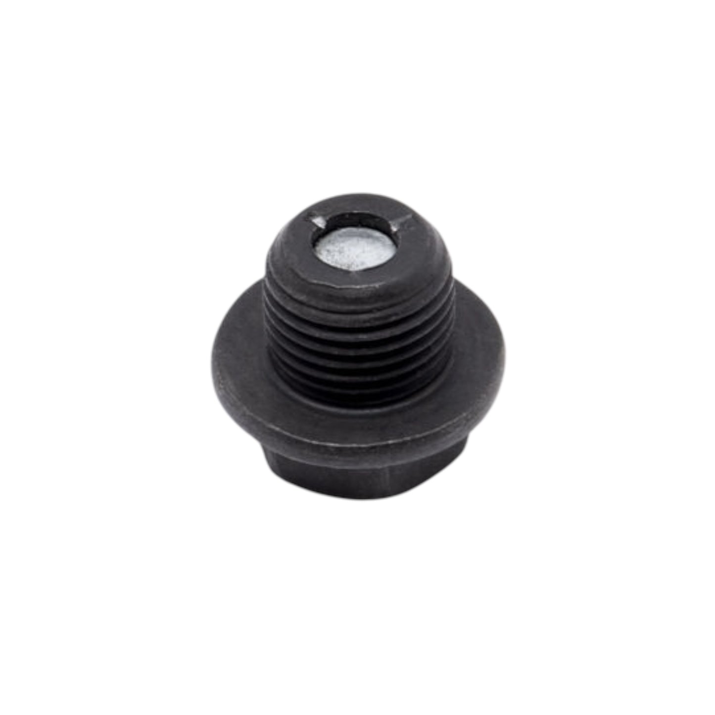 Sump Plug for TL45, Sting, Sting R