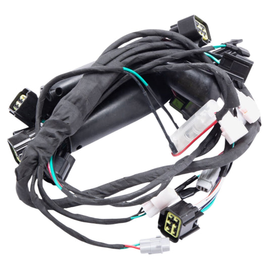 Full-E Charged Wiring Loom for Light bee
