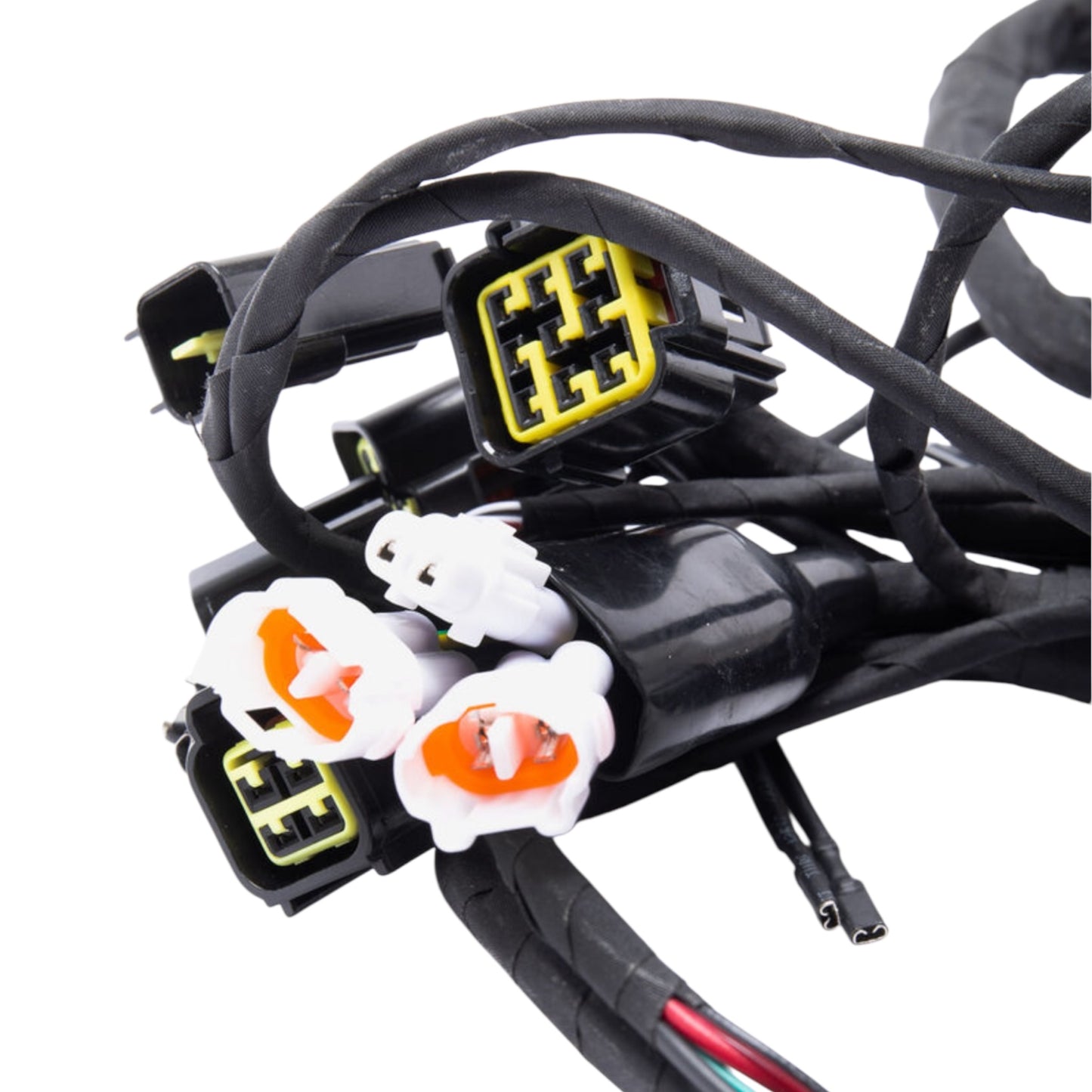 Full-E Charged Wiring Loom for Light bee